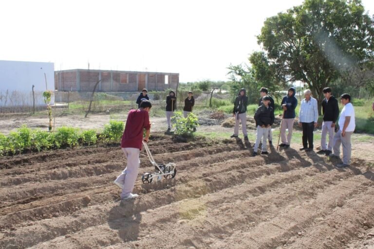 Estudiantes del Cobach cultivan huerto agroecológico en San Ignacio Río Muerto