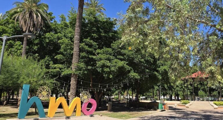 Llega la primavera a Sonora con días más largos y aumento de temperaturas